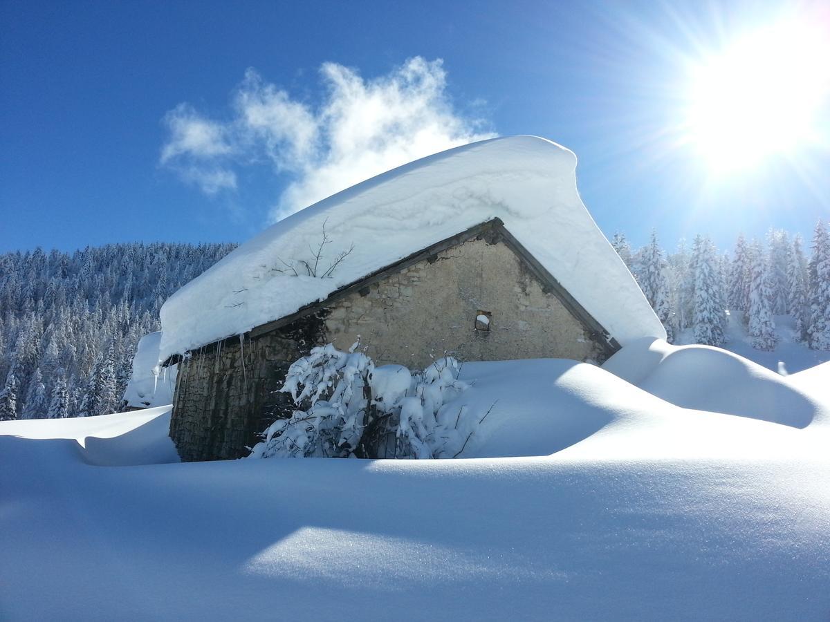 Alpine Smart Residence Folgaria Exterior photo
