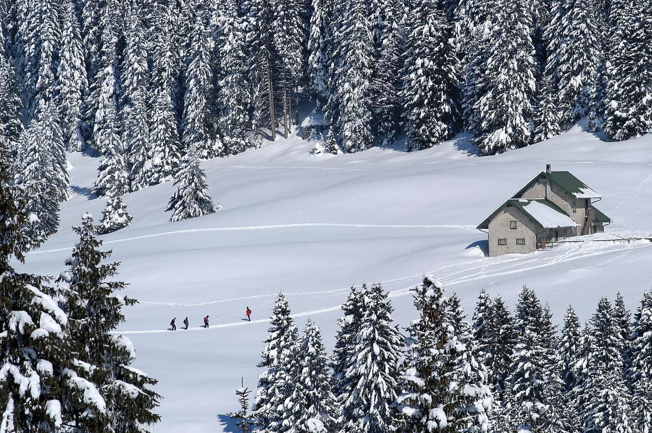 Alpine Smart Residence Folgaria Exterior photo