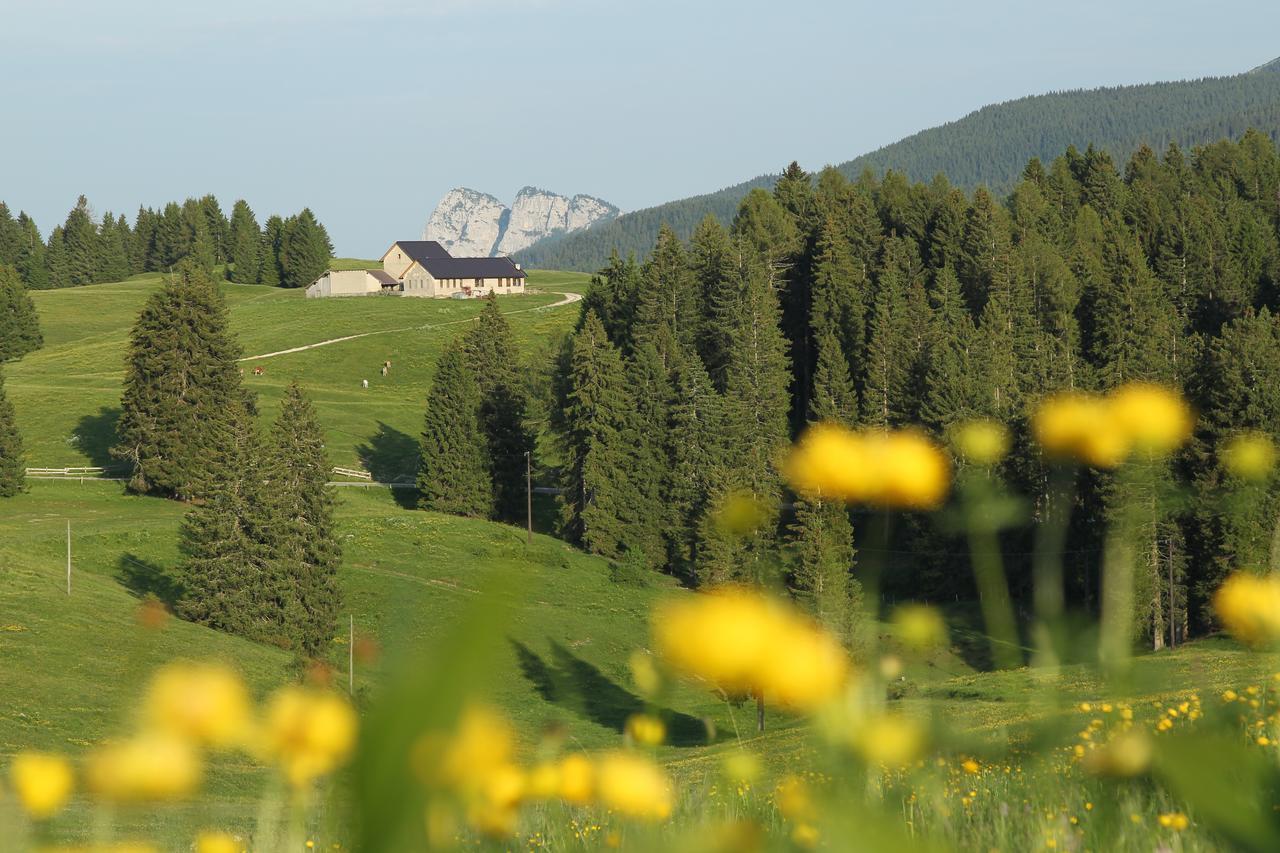 Alpine Smart Residence Folgaria Exterior photo
